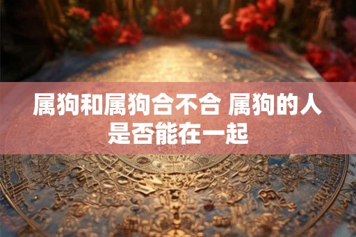 属狗和属狗合不合 属狗的人是否能在一起
