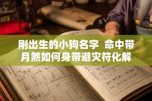 刚出生的小狗名字  命中带月煞如何身带避灾符化解