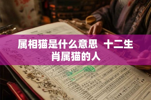 属相猫是什么意思 十二生肖属猫的人 属相猫是什么意思 十二生肖属猫的人