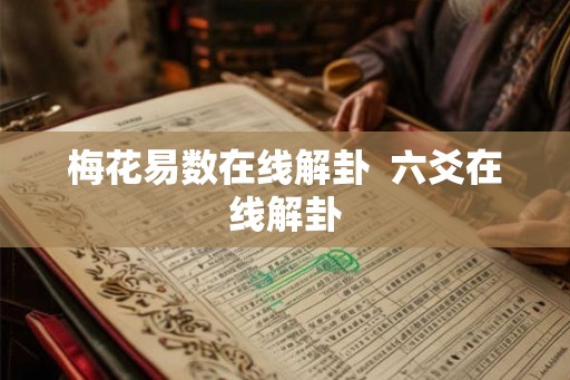 梅花易数在线解卦  六爻在线解卦