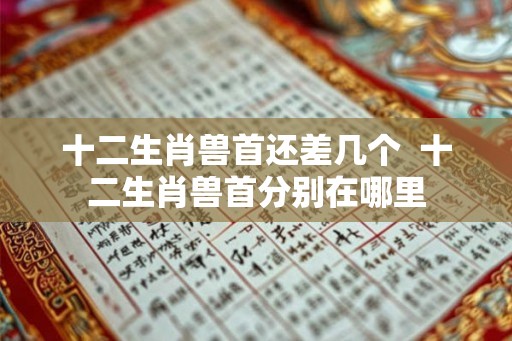 十二生肖兽首还差几个  十二生肖兽首分别在哪里