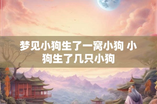 梦见小狗生了一窝小狗 小狗生了几只小狗
