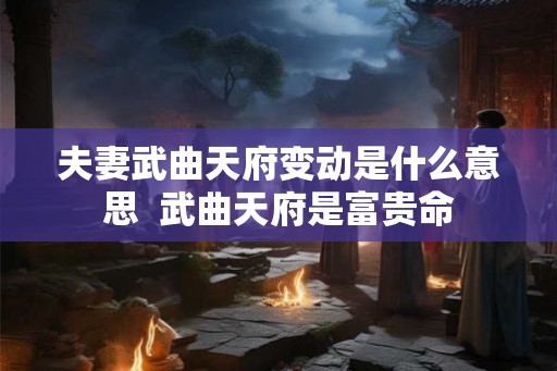 夫妻武曲天府变动是什么意思  武曲天府是富贵命