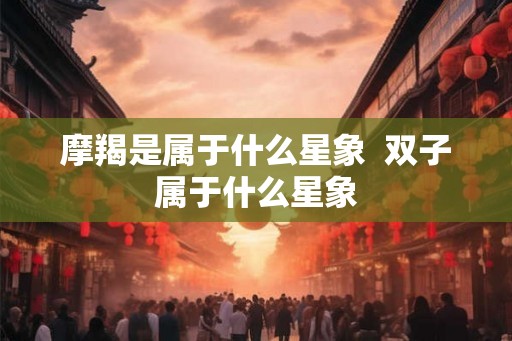 摩羯是属于什么星象  双子属于什么星象