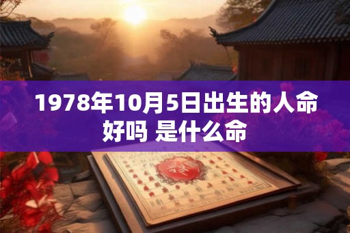 1978年10月5日出生的人命好吗 是什么命