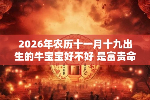 2026年农历十一月十九出生的牛宝宝好不好 是富贵命吗 2026年农历十一月十九出生的牛宝宝好不好 是富贵命吗
