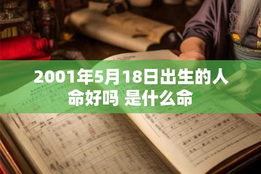 2001年5月18日出生的人命好吗 是什么命