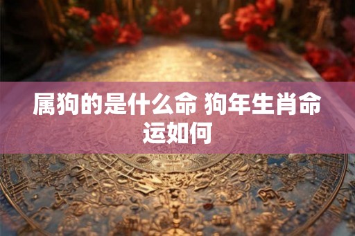 属狗的是什么命 狗年生肖命运如何