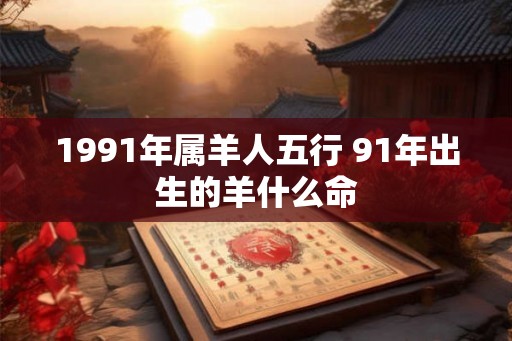 1991年属羊人五行 91年出生的羊什么命