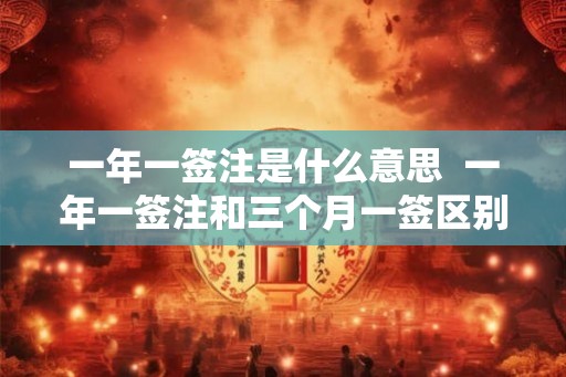 一年一签注是什么意思  一年一签注和三个月一签区别