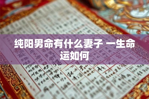 纯阳男命有什么妻子 一生命运如何