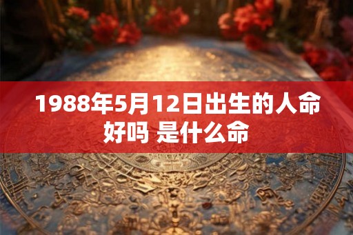 1988年5月12日出生的人命好吗 是什么命