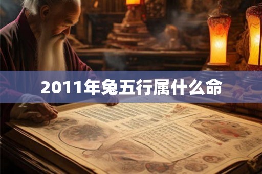 2011年兔五行属什么命