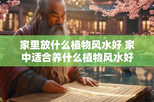 家里放什么植物风水好 家中适合养什么植物风水好