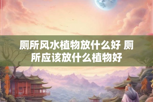 厕所风水植物放什么好 厕所应该放什么植物好