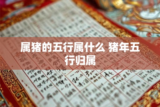 属猪的五行属什么 猪年五行归属