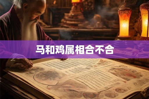 马和鸡属相合不合