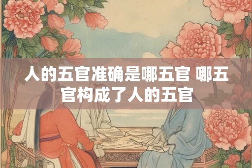 人的五官准确是哪五官 哪五官构成了人的五官