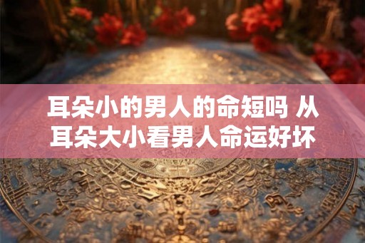 耳朵小的男人的命短吗 从耳朵大小看男人命运好坏