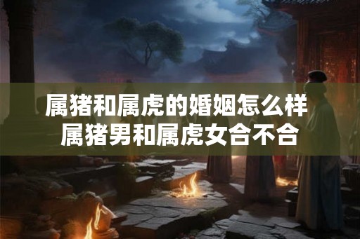 属猪和属虎的婚姻怎么样 属猪男和属虎女合不合 属猪和属虎的婚姻怎么样 属猪男和属虎女合不合