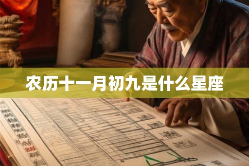 农历十一月初九是什么星座