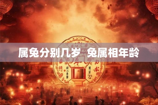 属兔分别几岁  兔属相年龄
