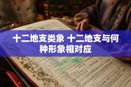 十二地支类象 十二地支与何种形象相对应