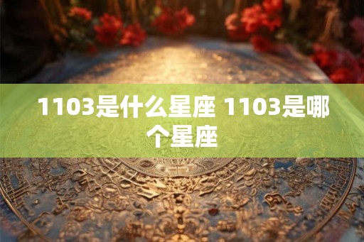 1103是什么星座 1103是哪个星座