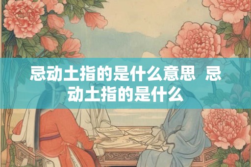 忌动土指的是什么意思  忌动土指的是什么