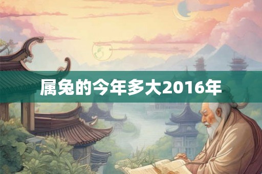属兔的今年多大2016年
