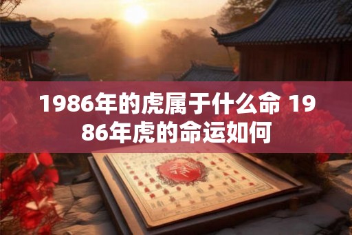 1986年的虎属于什么命 1986年虎的命运如何 1986年的虎属于什么命 1986年虎的命运如何