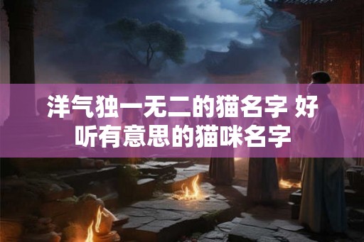 洋气独一无二的猫名字 好听有意思的猫咪名字