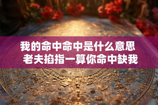 我的命中命中是什么意思  老夫掐指一算你命中缺我