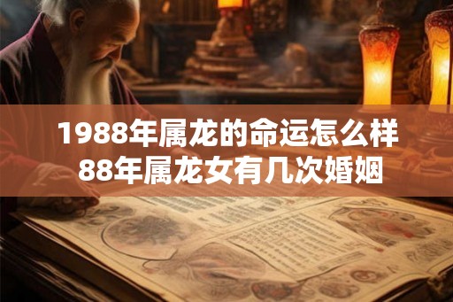 1988年属龙的命运怎么样 88年属龙女有几次婚姻
