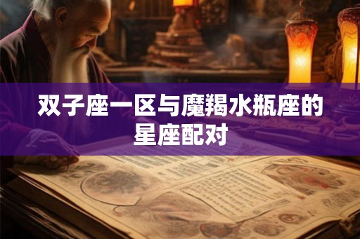 双子座一区与魔羯水瓶座的星座配对