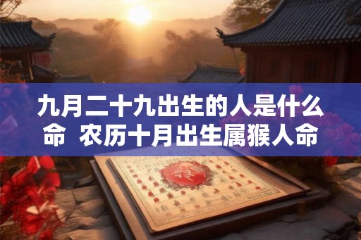 九月二十九出生的人是什么命  农历十月出生属猴人命好吗