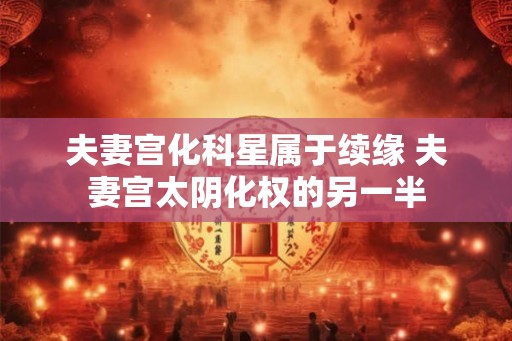 夫妻宫化科星属于续缘 夫妻宫太阴化权的另一半