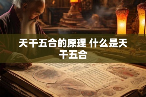 天干五合的原理 什么是天干五合