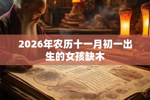 2026年农历十一月初一出生的女孩缺木 2026年农历十一月初一出生的女孩缺木