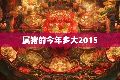属猪的今年多大2015