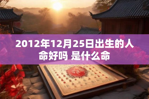 2012年12月25日出生的人命好吗 是什么命