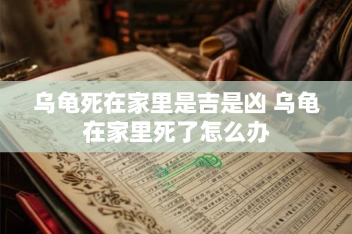乌龟死在家里是吉是凶 乌龟在家里死了怎么办 乌龟死在家里是吉是凶 乌龟在家里死了怎么办