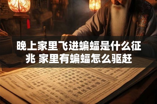 晚上家里飞进蝙蝠是什么征兆 家里有蝙蝠怎么驱赶 晚上家里飞进蝙蝠是什么征兆 家里有蝙蝠怎么驱赶