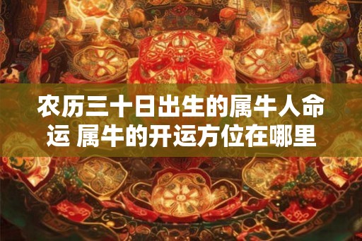 农历三十日出生的属牛人命运 属牛的开运方位在哪里