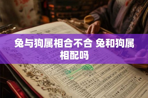 兔与狗属相合不合 兔和狗属相配吗