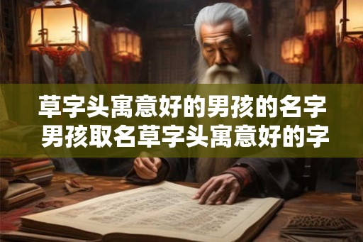 草字头寓意好的男孩的名字 男孩取名草字头寓意好的字