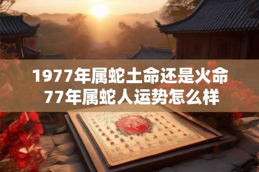 1977年属蛇土命还是火命 77年属蛇人运势怎么样 1977年属蛇土命还是火命 77年属蛇人运势怎么样