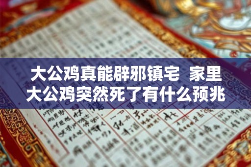 大公鸡真能辟邪镇宅  家里大公鸡突然死了有什么预兆