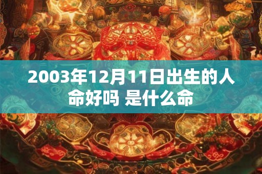 2003年12月11日出生的人命好吗 是什么命