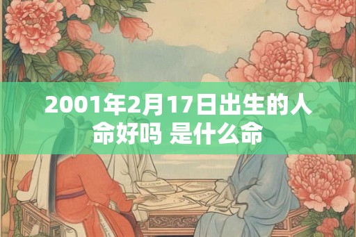 2001年2月17日出生的人命好吗 是什么命